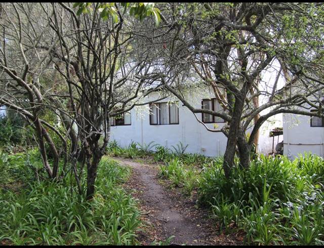 37HA FARM FOR SALE IN CALEDON RURAL